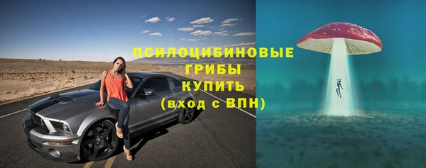 кокс Каменка