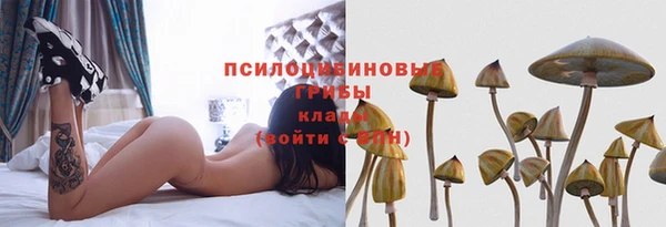 альфа пвп Иноземцево
