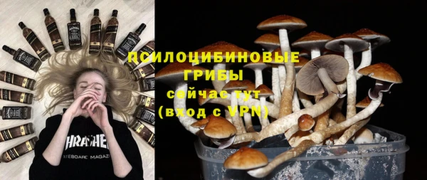 синтетический гашиш Каменногорск