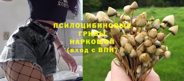 альфа пвп Иноземцево