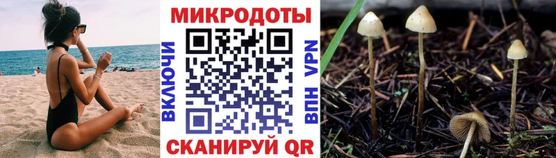 Псилоцибиновые грибы Psilocybine cubensis Благовещенск