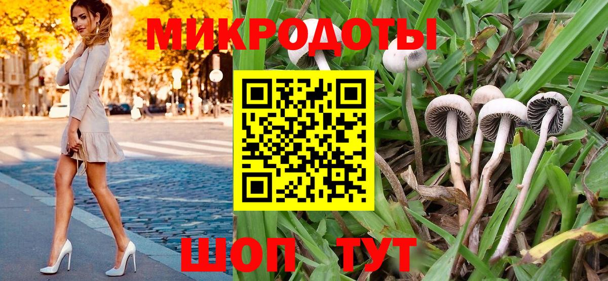 Галлюциногенные грибы GOLDEN TEACHER Благовещенск